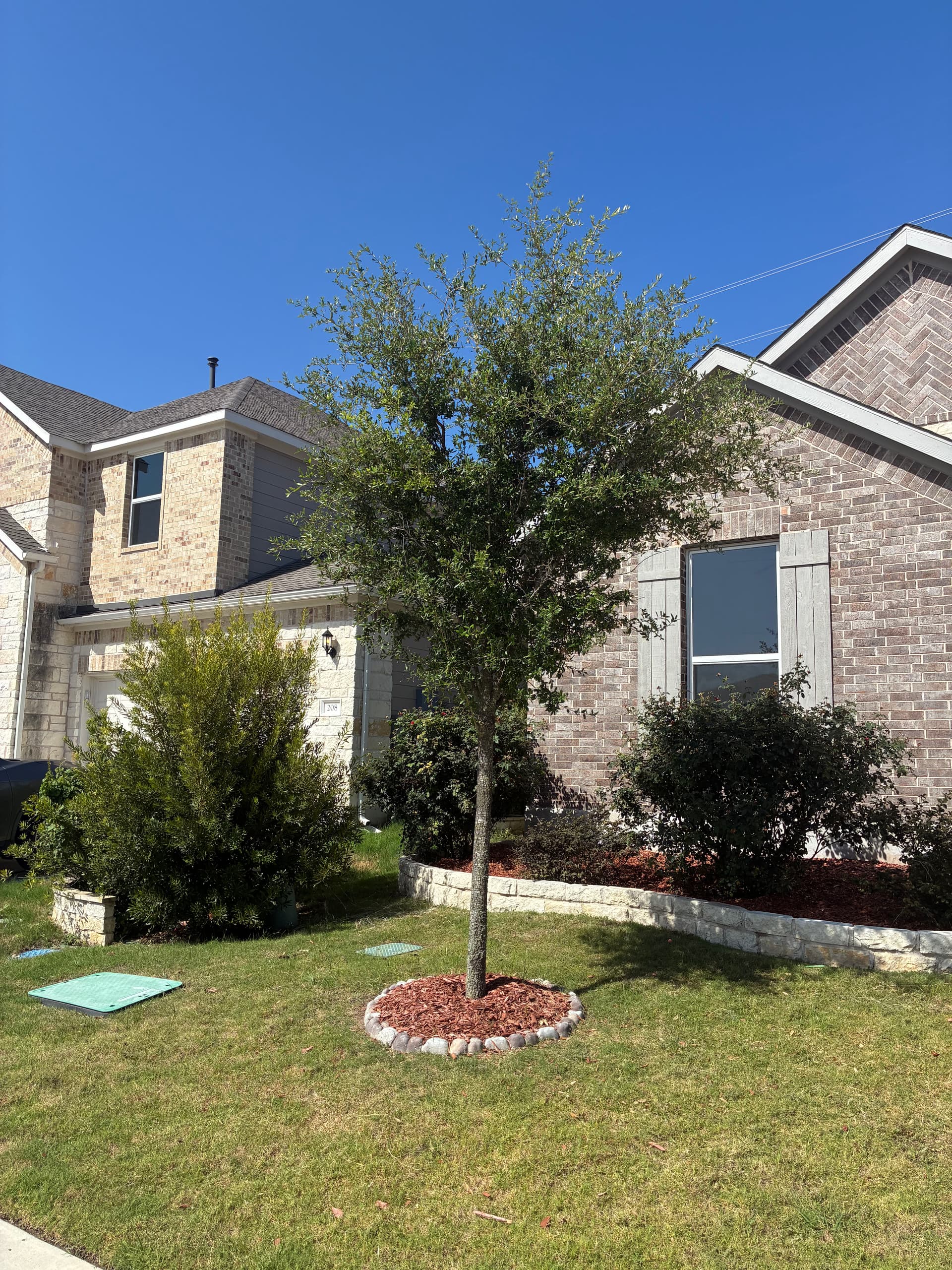 Gallery photos for Front Yard Bush and Tree Trimming at a Recurring Property: Image #2